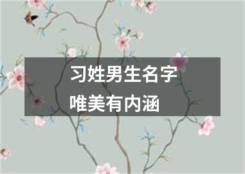 习姓男生名字唯美有内涵