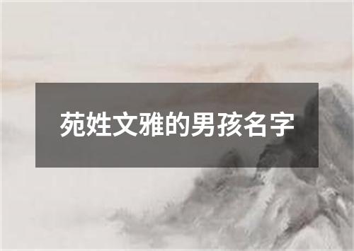 苑姓文雅的男孩名字