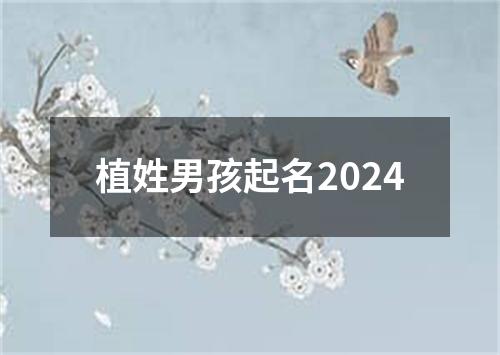 植姓男孩起名2024