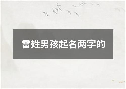 雷姓男孩起名两字的