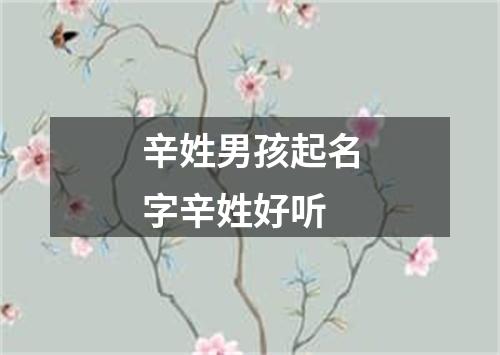 辛姓男孩起名字辛姓好听