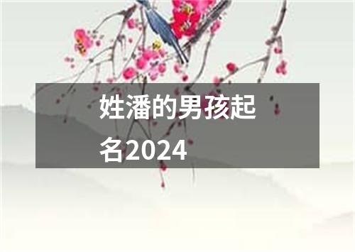 姓潘的男孩起名2024