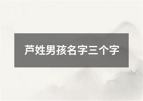 芦姓男孩名字三个字