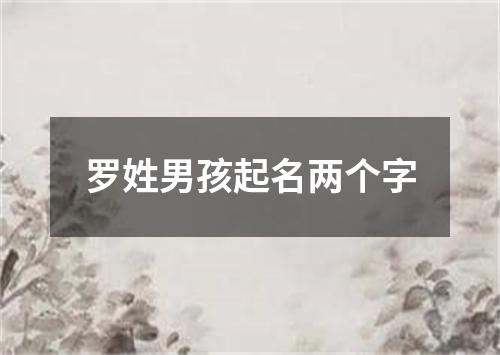 罗姓男孩起名两个字