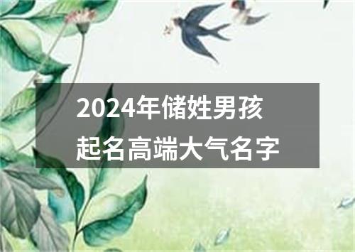 2024年储姓男孩起名高端大气名字