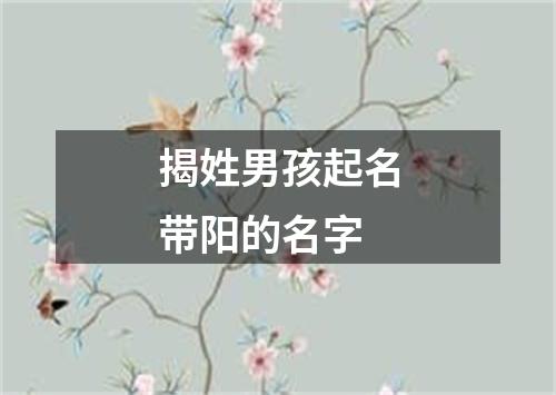 揭姓男孩起名带阳的名字