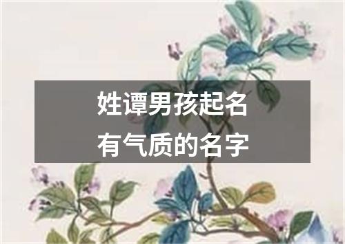 姓谭男孩起名有气质的名字