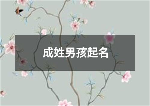 成姓男孩起名