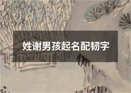 姓谢男孩起名配韧字