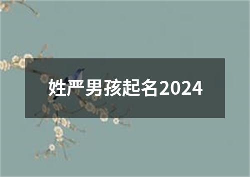 姓严男孩起名2024