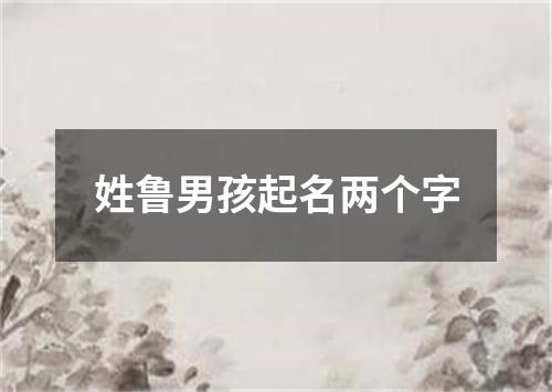 姓鲁男孩起名两个字