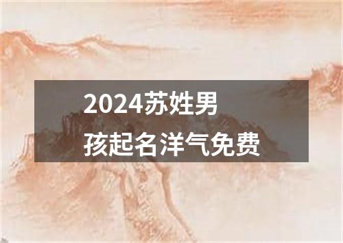 2024苏姓男孩起名洋气免费