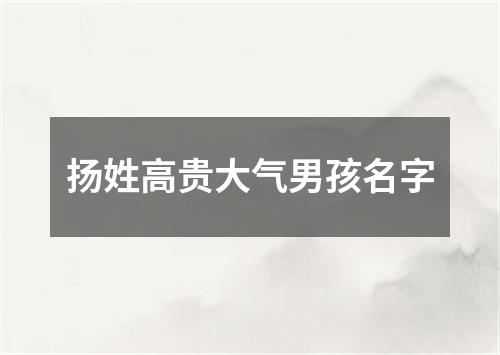 扬姓高贵大气男孩名字