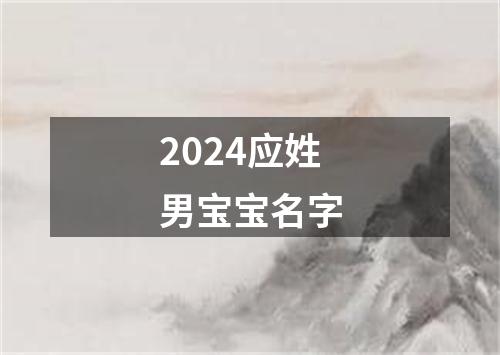 2024应姓男宝宝名字