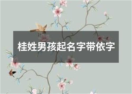 桂姓男孩起名字带依字