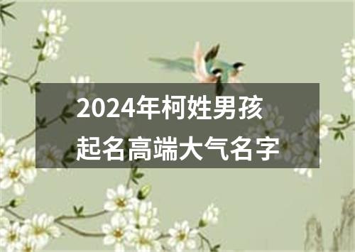 2024年柯姓男孩起名高端大气名字