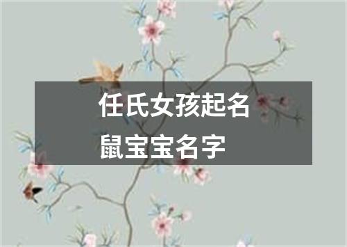 任氏女孩起名鼠宝宝名字