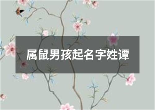 属鼠男孩起名字姓谭