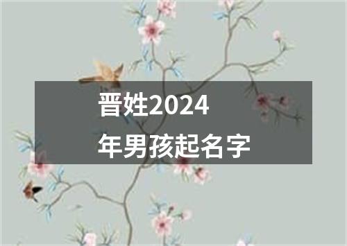 晋姓2024年男孩起名字