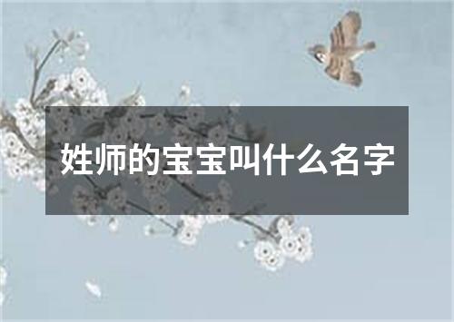 姓师的宝宝叫什么名字