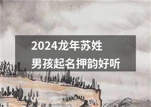 2024龙年苏姓男孩起名押韵好听