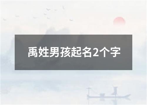 禹姓男孩起名2个字