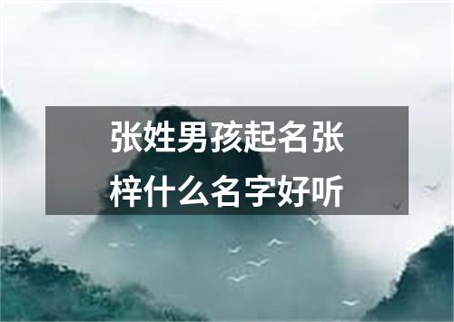 张姓男孩起名张梓什么名字好听