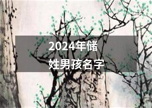 2024年储姓男孩名字