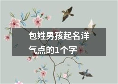 包姓男孩起名洋气点的1个字