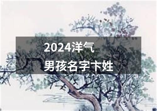 2024洋气男孩名字卞姓