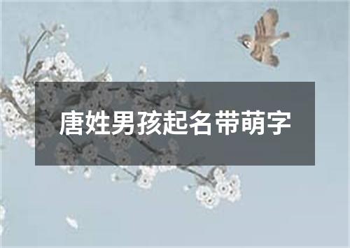 唐姓男孩起名带萌字