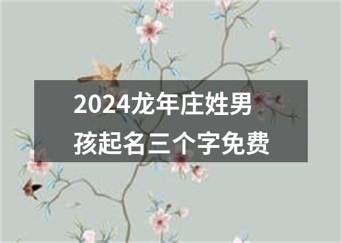 2024龙年庄姓男孩起名三个字免费