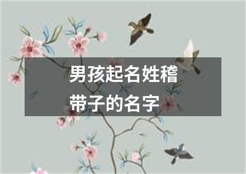 男孩起名姓稽带子的名字