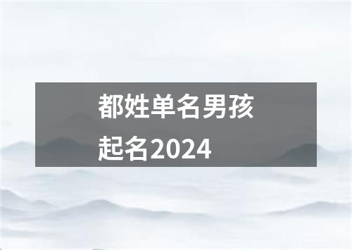 都姓单名男孩起名2024