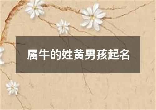属牛的姓黄男孩起名