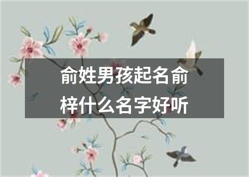 俞姓男孩起名俞梓什么名字好听