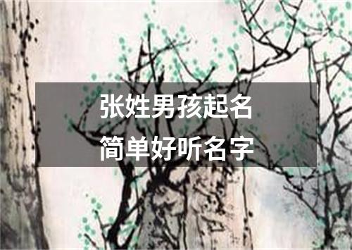 张姓男孩起名简单好听名字