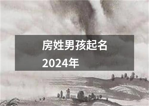 房姓男孩起名2024年