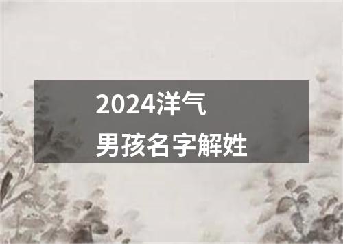 2024洋气男孩名字解姓