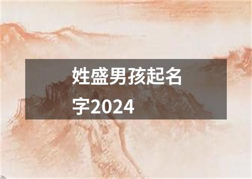 姓盛男孩起名字2024