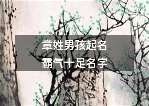 章姓男孩起名霸气十足名字