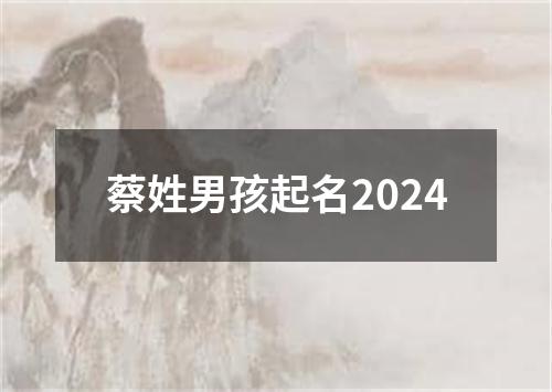 蔡姓男孩起名2024