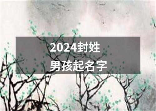 2024封姓男孩起名字