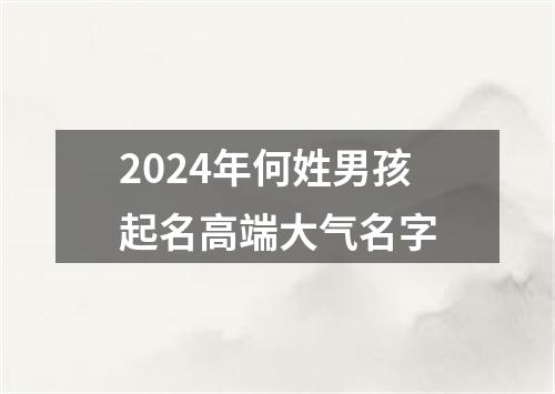 2024年何姓男孩起名高端大气名字