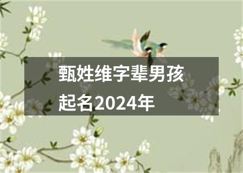 甄姓维字辈男孩起名2024年