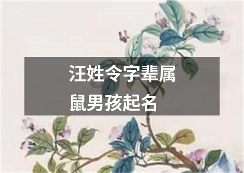 汪姓令字辈属鼠男孩起名