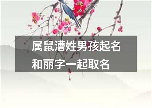 属鼠漕姓男孩起名和丽字一起取名