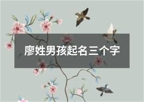 廖姓男孩起名三个字