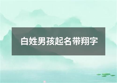 白姓男孩起名带翔字