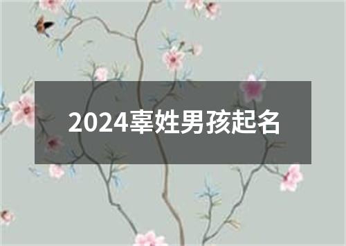 2024辜姓男孩起名